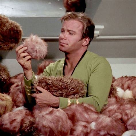 Geniuses Determine How Long It Would Take For Star Treks Tribbles To