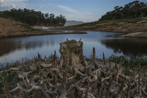 São Paulo Water Crisis Linked To Growth Pollution And Deforestation