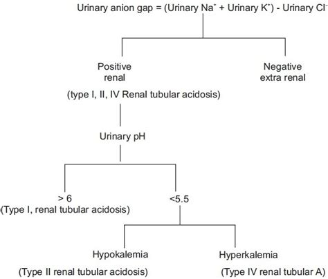 Approach To A Patient With Normal Anion Gap Acidosis Download Scientific Diagram