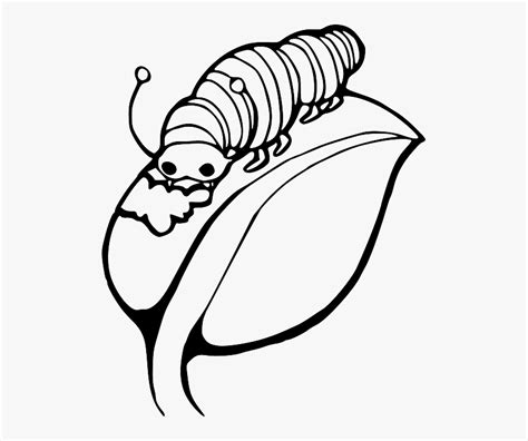 Black And White Caterpillar Clipart