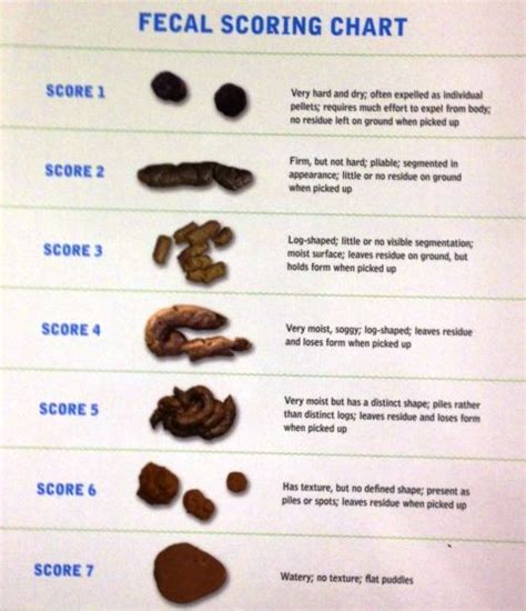 Purinas Fecal Scoring Chart Pets Us And Charts