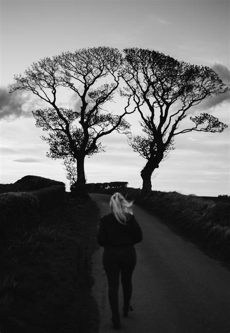 Free Images Tree Nature Silhouette Cloud Black And