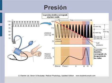 05 Presión Arterial Y Dinámica De La Circulación Periférica
