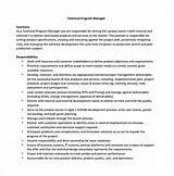 Technical Project Manager Job Description Pdf