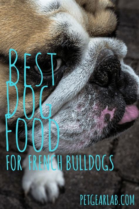 Therefore, providing more quality and inflating your price is realistic and recommended for such a luxury breed. What's The Best Dog Food For French Bulldogs? Let's See ...