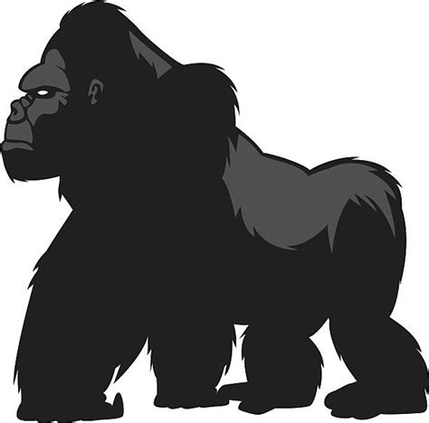 Royalty Free Silverback Gorilla Clip Art Vector Images And Illustrations