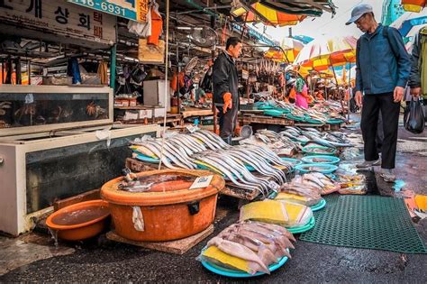 Fish Market Houtbay Pictures Lances Down Under Fish Market In The