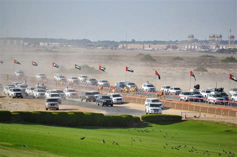 Professional camel racing, like horse racing. Expat Bob Life in UAE: Camel Beauty Pageant