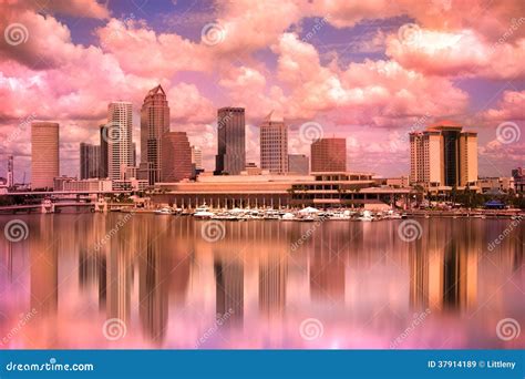 Tampa Florida Skyline Stock Image Image Of America Clouds 37914189