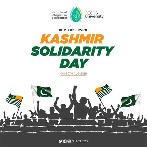 Kashmir Solidarity Day Posters Hot Sex Picture