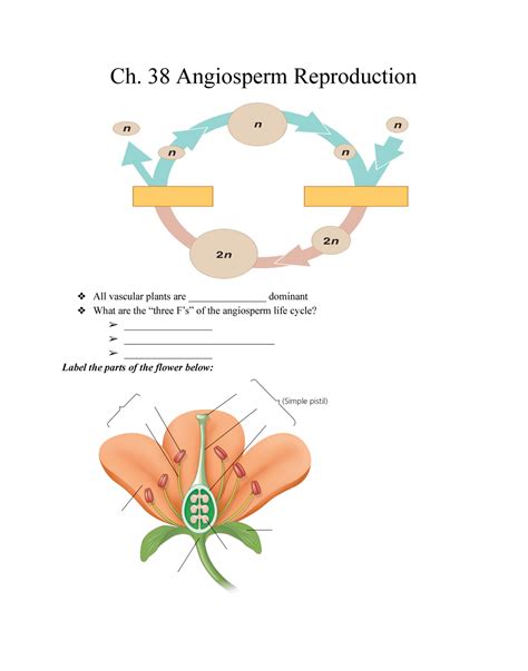 Ch 38 Angiosperm Reproduction Ch 38 Angiosperm Reproduction All