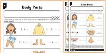 french  body parts worksheet activity sheet french