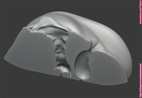 Pussy Vagina Anus Block For Any Medical Toy Animation Printing Purposes 1 3d Model In Anatomy