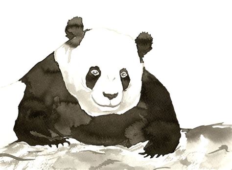 Minimalist Original Ink Painting Giant Panda Bear Wildlife Etsy