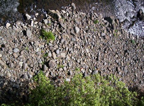 Free Photo River Bed Textures Bspo06 Grass Green Free Download