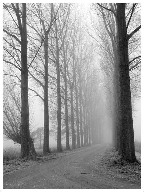 Mist And Fog By Cornelis Heijkant Mists Fog Awe Inspiring