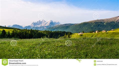 Meadows With Yellow Flowers In The Dolomites At Sunset Stock Photo