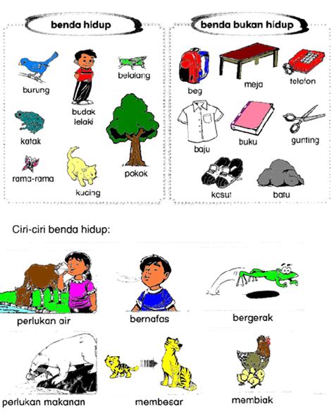 Sains mengelaskan mengelaskan mengelas benda benda hidup dan kemahiran berfikir hidup dan benda benda bukan kritis & kreatif bukan hidup. Dunia Sains dan Teknologi Tahun 1: Benda Hidup dan Benda ...