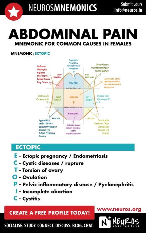 Stomach Pain Chart