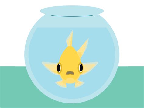 Goldfish Animated Gif