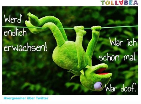 Die Besten 25 Kermit Der Frosch Zitate Ideen Auf Pinterest Kermit