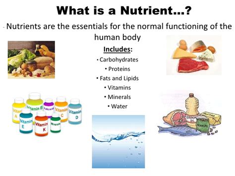 Nutrients Overview Nutrition Skinny™