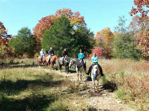 Take A Fall Foliage Trail Ride On Horseback At Bear Creek In Missouri
