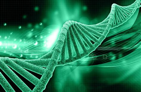 I Think Therefore I Am Epigenetics And How Dna Can Change From Just