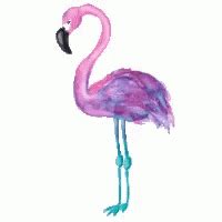 Animated Flamingo GIFs Tenor