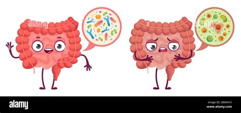 Intestinal Microflora Digestive System Care Intestinal Bacterias And Probiotics Cartoon Vector