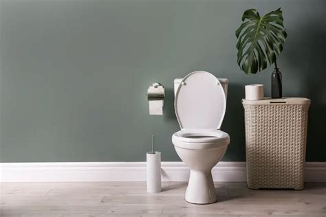 The 5 Best Toto Toilets In 2023 Sleek Dwellings