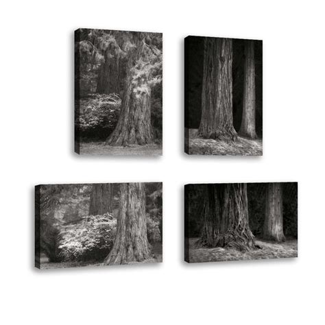 Set Of 4 Ancient Forest Iv Bandw Contemporary Fine Art Giclee On