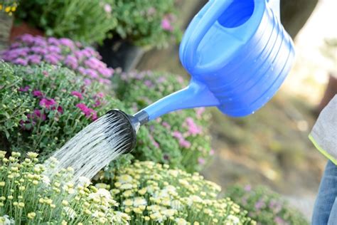 Un Hombre Está Regando Flores De Una Regadera Foto Premium