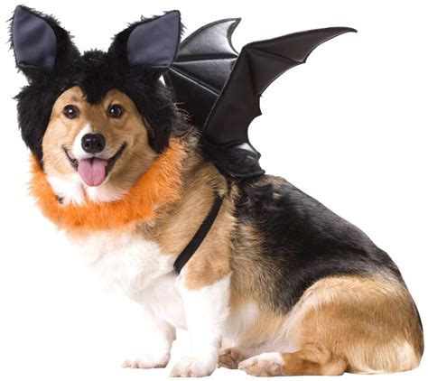 Best Dog Costume For Halloween 2017 Mimi And Tara