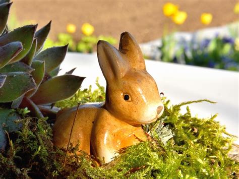Easter Bunny Moss Rabbit Free Photo On Pixabay Pixabay