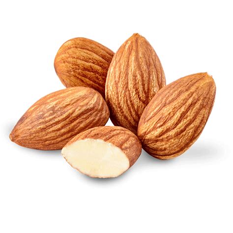 Almond Oil Nut Almond Oil Food Almond Png Download 10001000 Free