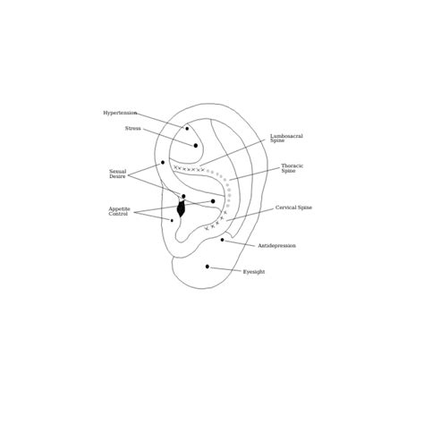 Ear Reflexology Points01 Free Svg