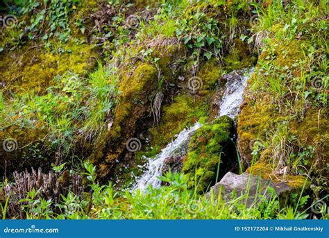 Waterfall Green Forest River Stream Landscape Stock Photo Image Of