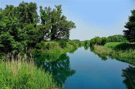 Download Free Photo Of Nature Landscape River Forest Trees From