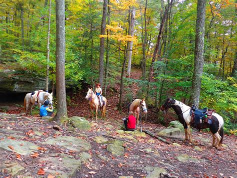 Mammoth Cave National Parks First Creek Trail In Kentucky Equitrekking