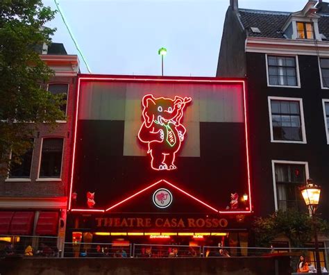 10 best sex shows in amsterdam strippers peep shows lapdance amsterdam red light district
