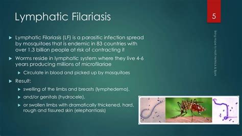 Lymphatic Filariasis Ppt 1014