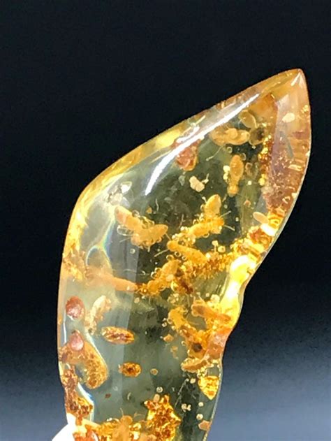 Sold Price Amber Fossil Natural Decor Collectible Specimen