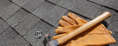 Roof Maintenance Tips For The Fall