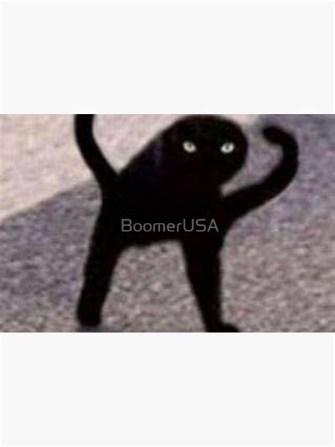 Black Cat Meme Best Cat Wallpaper