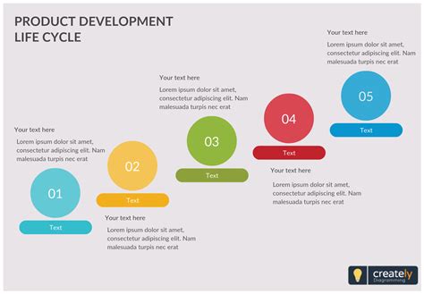 Product Development Life Cycle Diagram Shows The Timeline Of The