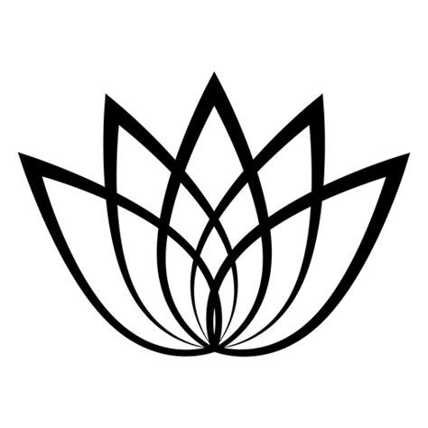 Lotus Flower Outline Png Lotus Flower Fairy Drawing Png Images Psd