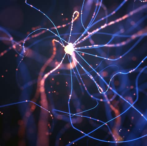 SpinalNet: Deep Neural Network with Gradual Input | by Ratnam Parikh | VisionWizard | Medium