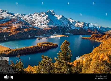 Schweiz Engadin Sils Silvaplana See An Der See Im Herbst Margna