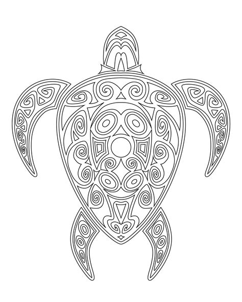 Drawing Zentangle Turtle For Coloring Page Shirt Design Logo Tattoo